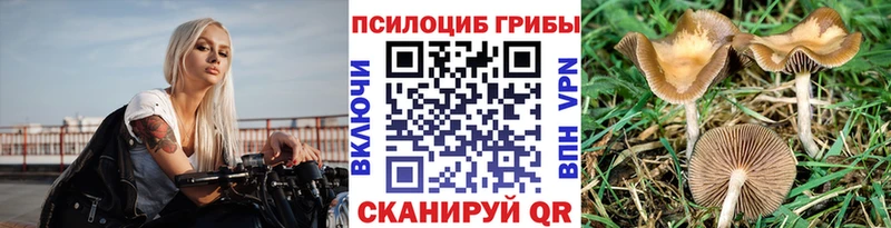 Псилоцибиновые грибы мухоморы  Дедовск 