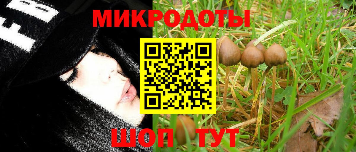 Галлюциногенные грибы Magic Shrooms  Галлюциногенные грибы прущие грибы  Дедовск  Вход с VPN 