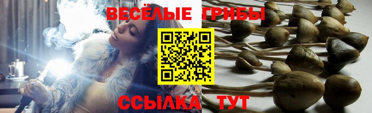 Галлюциногенные грибы мицелий Дедовск